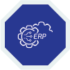 ERP Solutions